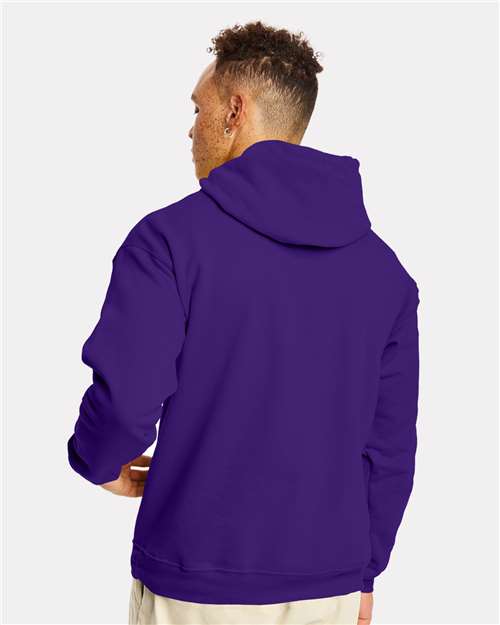Hanes P170 Unisex EcoSmart? Hooded Sweatshirt - Back view