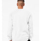 BELLA  CANVAS 3901 Unisex Sponge Fleece Raglan Crewneck Sweatshirt - Back view