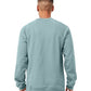 BELLA  CANVAS 3901 Unisex Sponge Fleece Raglan Crewneck Sweatshirt - Back view