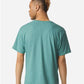 American Apparel 2006CVC Unisex CVC V-Neck Tee - Back view