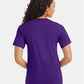 Hanes 5280 Unisex Essential-T T-Shirt - Back view
