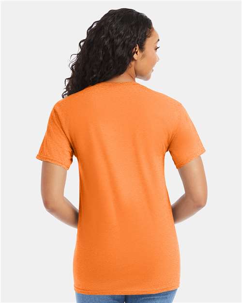 Hanes 5280 Unisex Essential-T T-Shirt - Back view