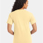 Hanes 5280 Unisex Essential-T T-Shirt - Back view