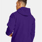Hanes P170 Unisex EcoSmart? Hooded Sweatshirt - Back view