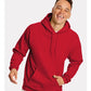 Hanes P170 Unisex EcoSmart? Hooded Sweatshirt - Front view