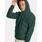 Hanes P170 Unisex EcoSmart? Hooded Sweatshirt - Side view