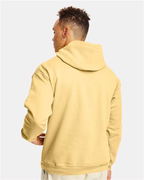Hanes P170 Unisex EcoSmart? Hooded Sweatshirt - Back view