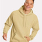 Hanes P170 Unisex EcoSmart? Hooded Sweatshirt - Front view