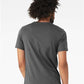 BELLA  CANVAS 3413 Triblend Tee - Back view