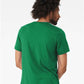 BELLA  CANVAS 3413 Triblend Tee - Back view