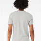 BELLA  CANVAS 3413 Triblend Tee - Back view