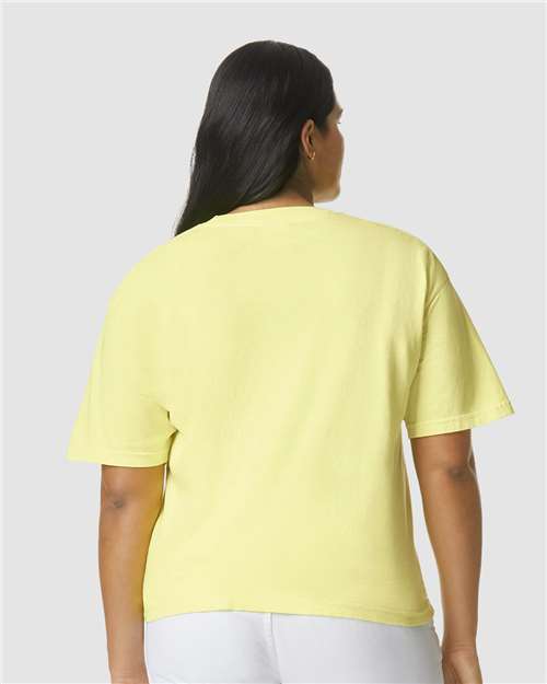 Comfort Colors 1717 Unisex Garment-Dyed Heavyweight T-Shirt - Back view