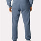 Comfort Colors 1469 Unisex Garment-Dyed Lightweight Sweatpants - Back view