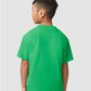 Gildan 65000B Youth Softstyle? Midweight T-Shirt - Back view