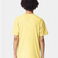 American Apparel 2001CVC Unisex CVC Tee - Back view