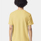 American Apparel 2001CVC Unisex CVC Tee - Back view