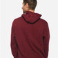 Lane Seven LS14001 Unisex Premium Hoodie Sweatshirt - Back view