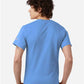 Champion CH1000 Unisex Jersey T-Shirt - Back view