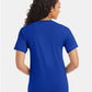 Hanes 5280 Unisex Essential-T T-Shirt - Back view