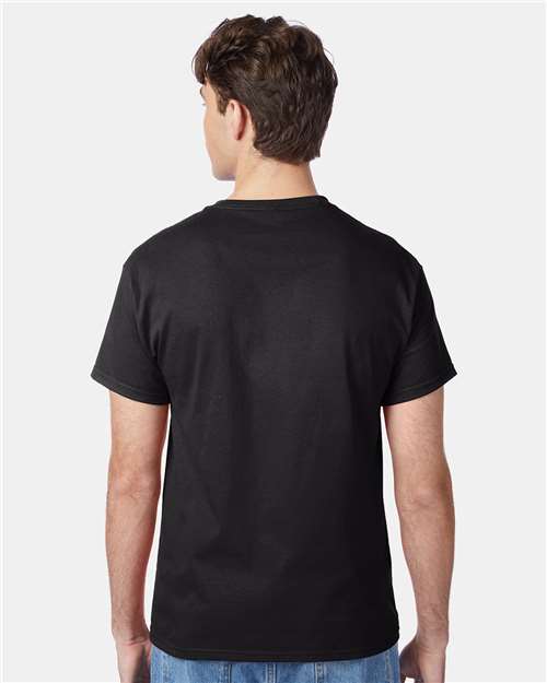 Hanes 5250 Unisex Authentic T-Shirt - Back view