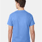 Hanes 5250 Unisex Authentic T-Shirt - Back view