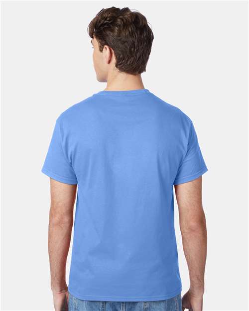 Hanes 5250 Unisex Authentic T-Shirt - Back view