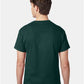 Hanes 5250 Unisex Authentic T-Shirt - Back view