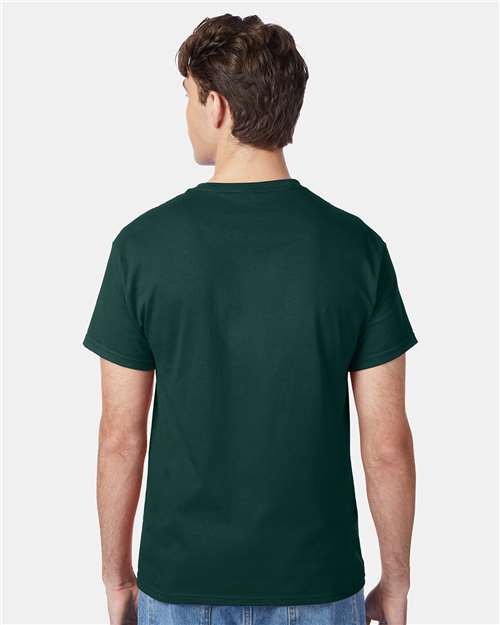 Hanes 5250 Unisex Authentic T-Shirt - Back view