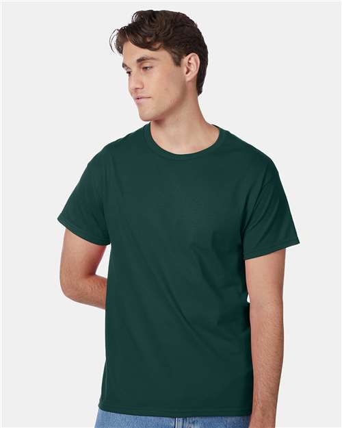 Hanes 5250 Unisex Authentic T-Shirt - Front view