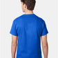 Hanes 5250 Unisex Authentic T-Shirt - Back view