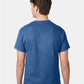 Hanes 5250 Unisex Authentic T-Shirt - Back view