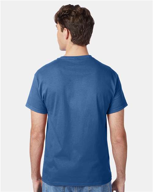 Hanes 5250 Unisex Authentic T-Shirt - Back view
