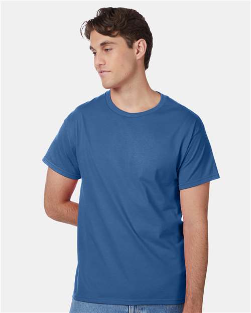 Hanes 5250 Unisex Authentic T-Shirt - Front view
