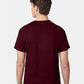 Hanes 5250 Unisex Authentic T-Shirt - Back view