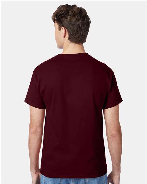Hanes 5250 Unisex Authentic T-Shirt - Back view