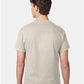 Hanes 5250 Unisex Authentic T-Shirt - Back view