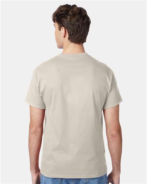 Hanes 5250 Unisex Authentic T-Shirt - Back view