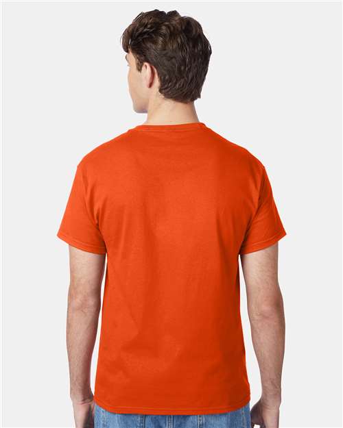 Hanes 5250 Unisex Authentic T-Shirt - Back view