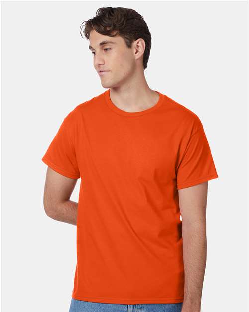 Hanes 5250 Unisex Authentic T-Shirt - Front view