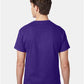 Hanes 5250 Unisex Authentic T-Shirt - Back view