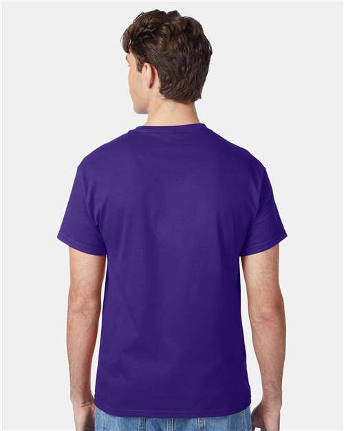 Hanes 5250 Unisex Authentic T-Shirt - Back view
