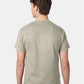 Hanes 5250 Unisex Authentic T-Shirt - Back view