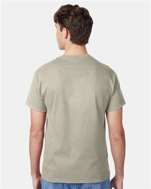 Hanes 5250 Unisex Authentic T-Shirt - Back view