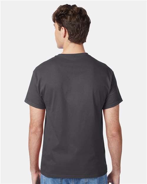 Hanes 5250 Unisex Authentic T-Shirt - Back view