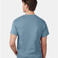 Hanes 5250 Unisex Authentic T-Shirt - Back view