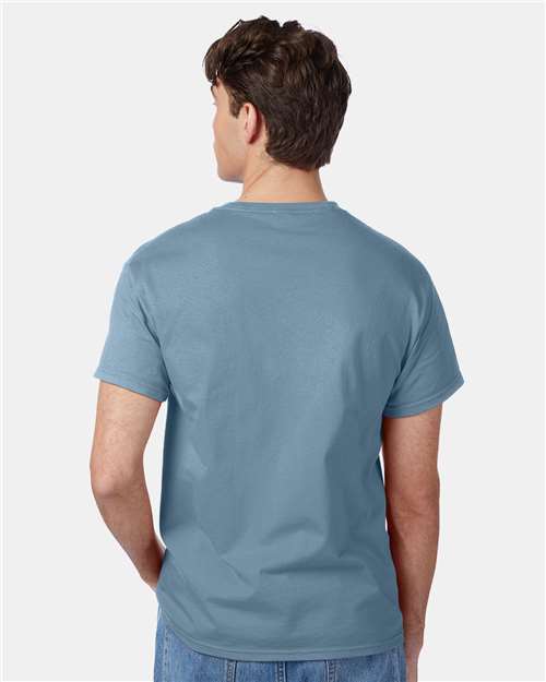 Hanes 5250 Unisex Authentic T-Shirt - Back view