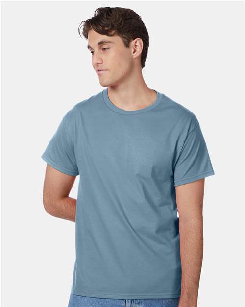 Hanes 5250 Unisex Authentic T-Shirt - Front view