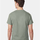 Hanes 5250 Unisex Authentic T-Shirt - Back view