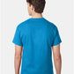 Hanes 5250 Unisex Authentic T-Shirt - Back view