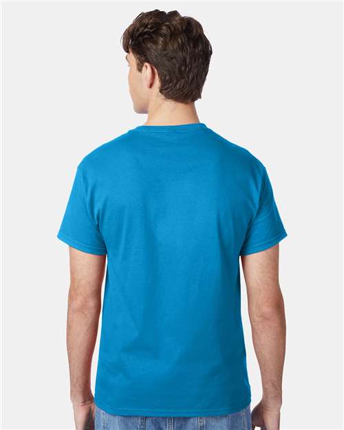 Hanes 5250 Unisex Authentic T-Shirt - Back view